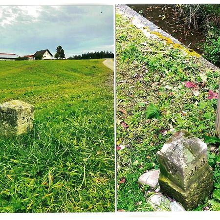 Uebernachtungsmoeglichkeit In Maierhoefen Grunenbach Exteriér fotografie
